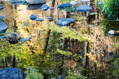 Sedona Reflections